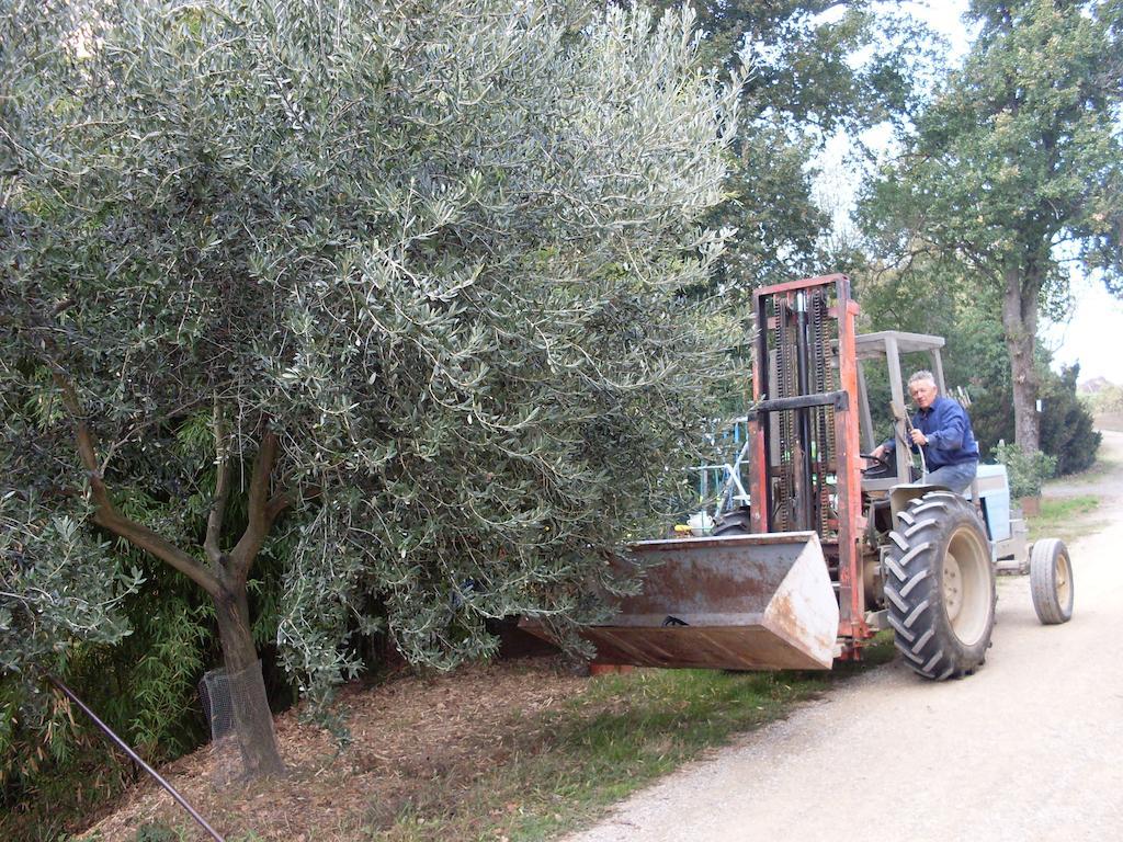 Agriturismo La Marletta Imola Kültér fotó